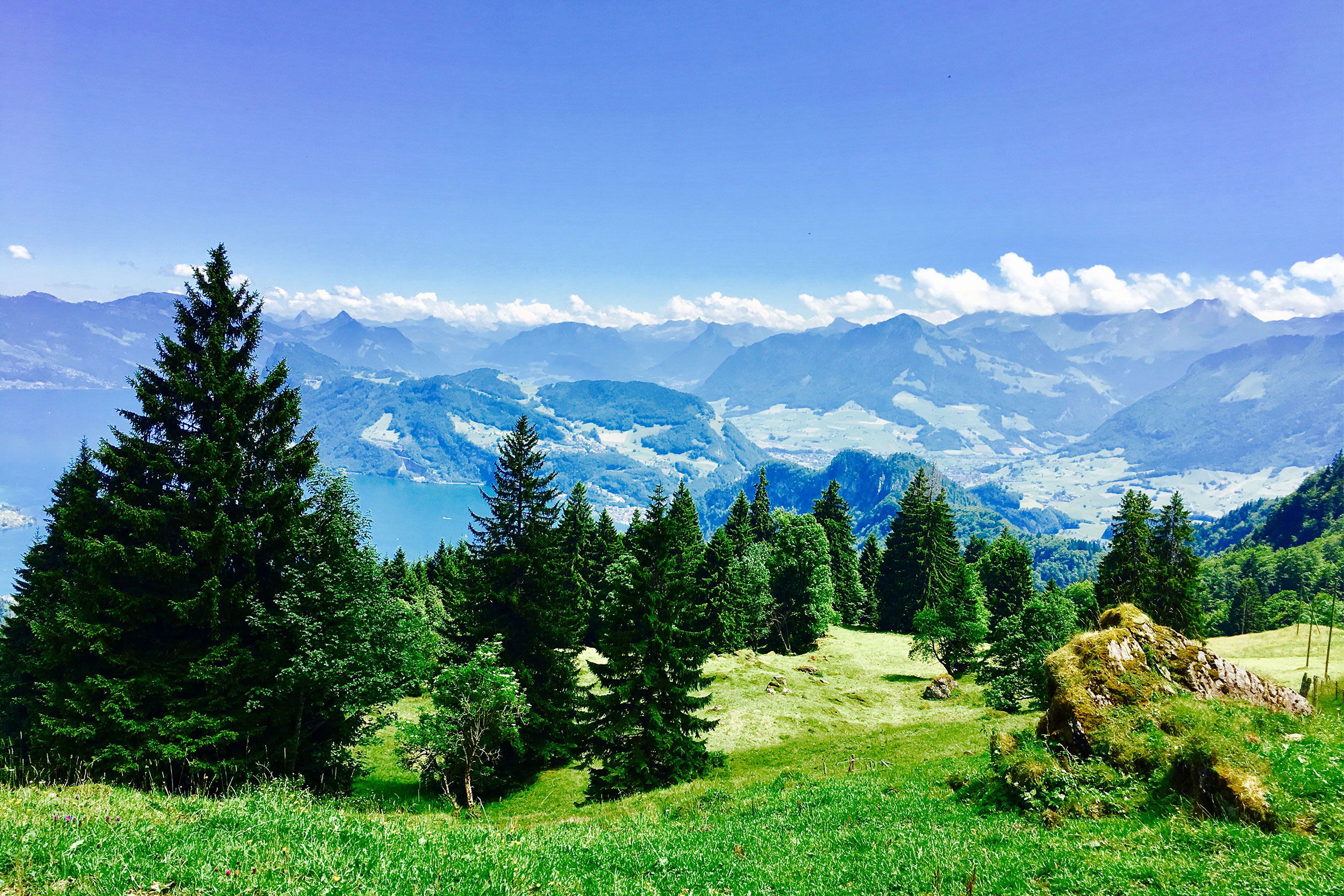 IMAGE_FullSizeRender