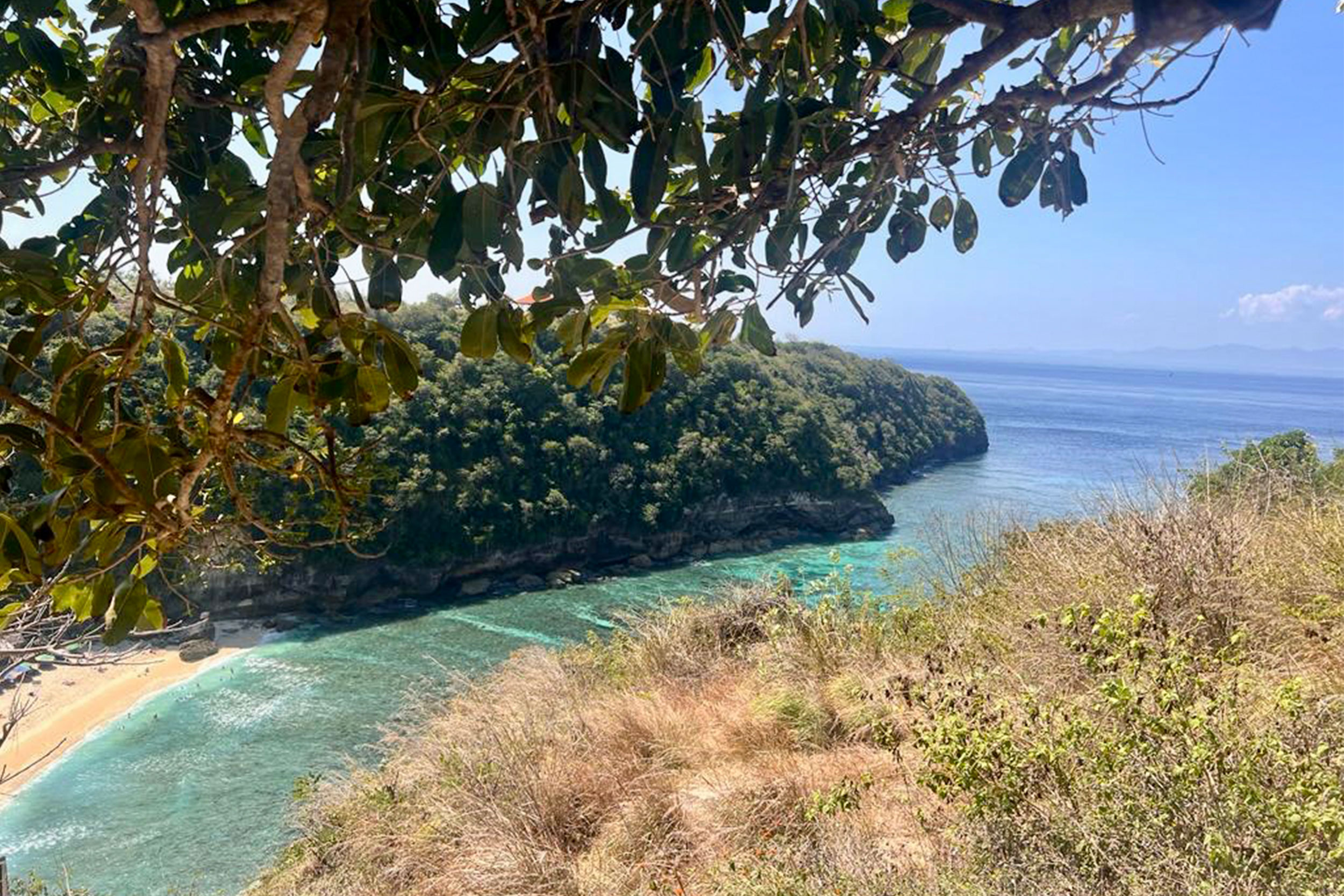 IMAGE_acb11ab0-b0fe-4c31-aebb-c06fd7315d00